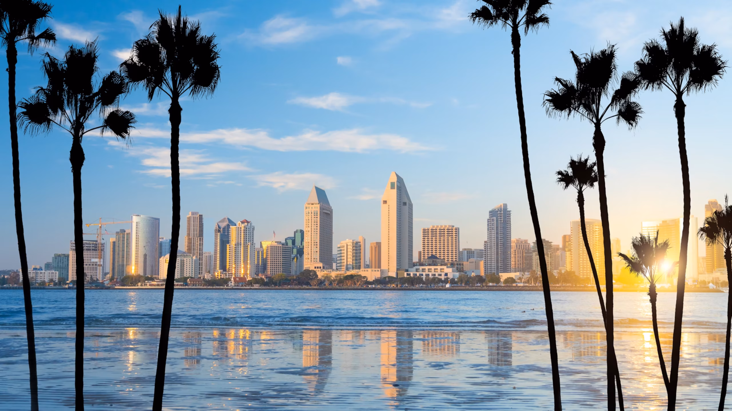2025 San Diego Annual BAPA Forum